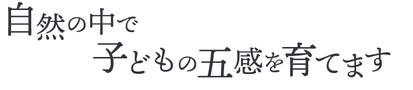 自然中で子どもの五感を育てます